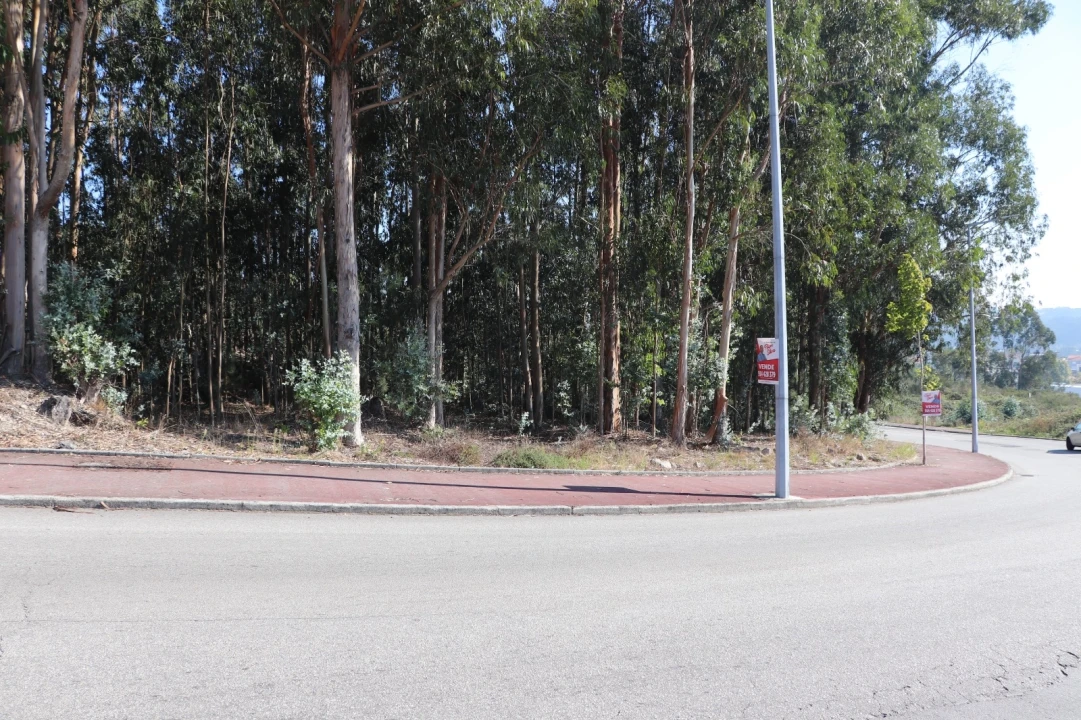 Terreno Comércio / Armazém para Venda em Lordelo Foto 5