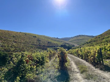 Quinta T0 para Venda em Vila Nova de Foz Côa