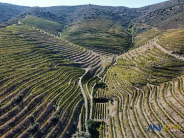 Quinta T0 para Venda em Vila Nova de Foz Côa