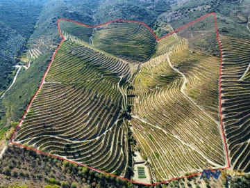 Quinta T0 para Venda em Vila Nova de Foz Côa
