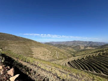 Quinta T0 para Venda em Vila Nova de Foz Côa