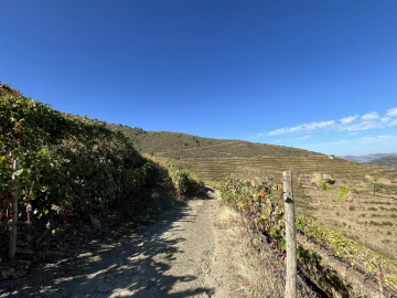 Quinta T0 para Venda em Vila Nova de Foz Côa