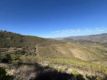Quinta T0 para Venda em Vila Nova de Foz Côa