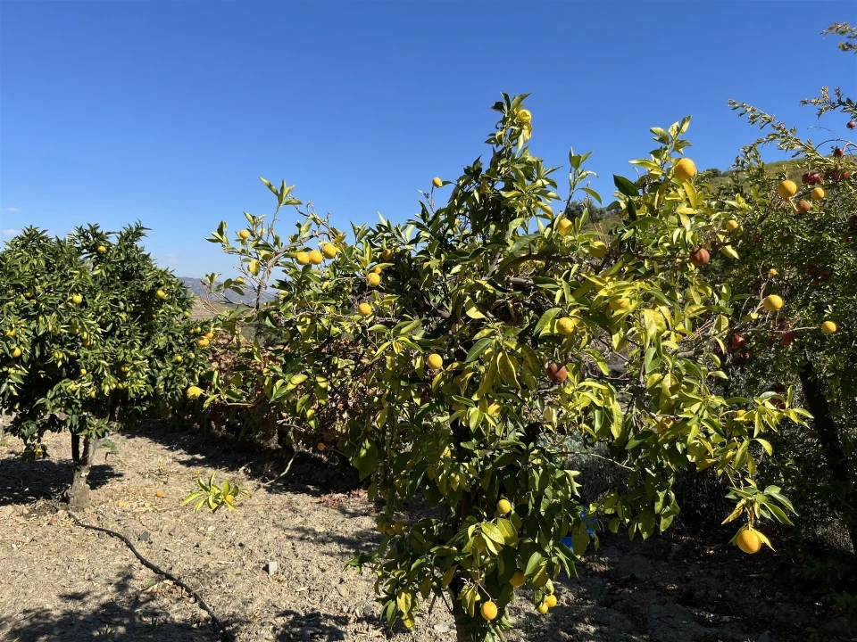 Quinta T0 para Venda em Vila Nova de Foz Côa Foto 16