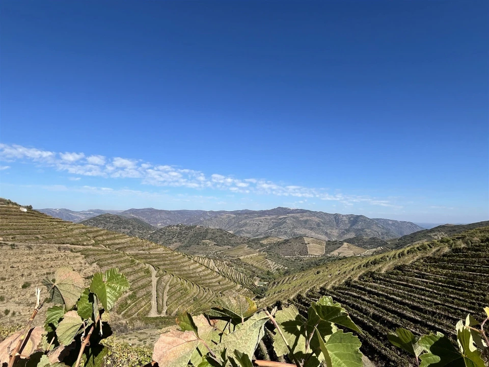 Quinta T0 para Venda em Vila Nova de Foz Côa Foto 7