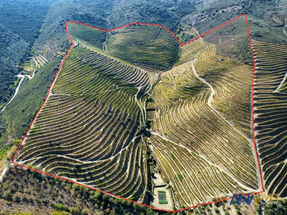 Quinta T0 para Venda em Vila Nova de Foz Côa Foto 1