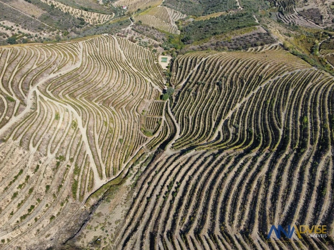 Quinta T0 para Venda em Vila Nova de Foz Côa Foto 4