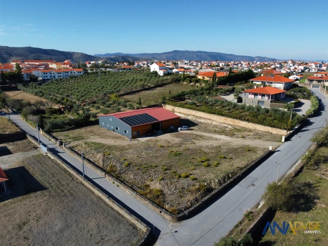 Quinta T0 para Venda em Vila Nova de Foz Côa Foto 5