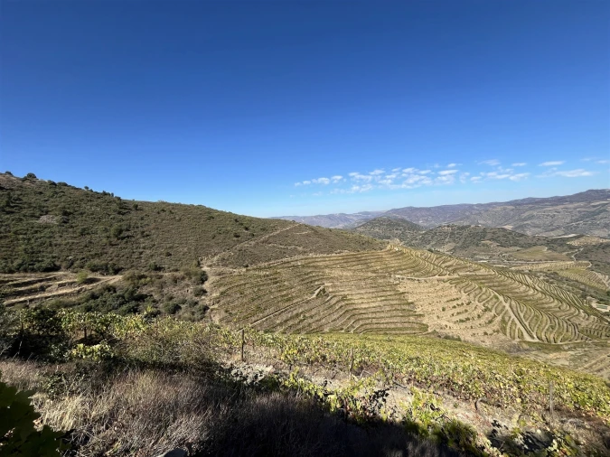 Quinta T0 para Venda em Vila Nova de Foz Côa Foto 8