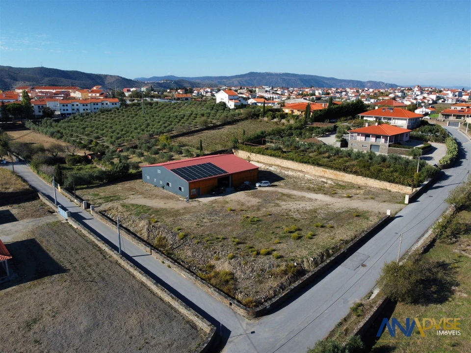 Quinta T0 para Venda em Vila Nova de Foz Côa Foto 5
