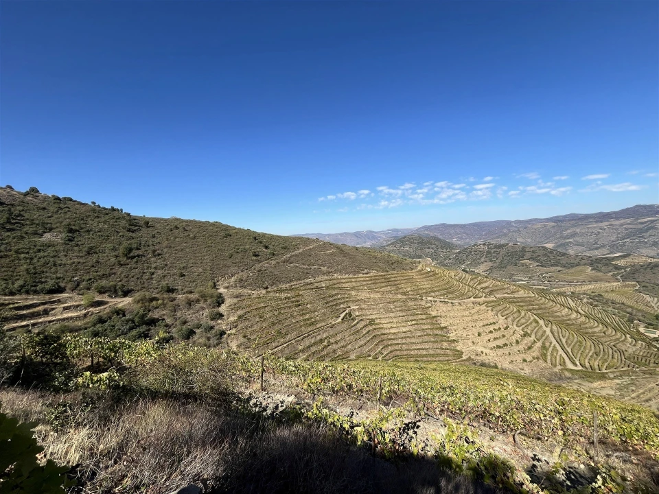 Quinta T0 para Venda em Vila Nova de Foz Côa Foto 8