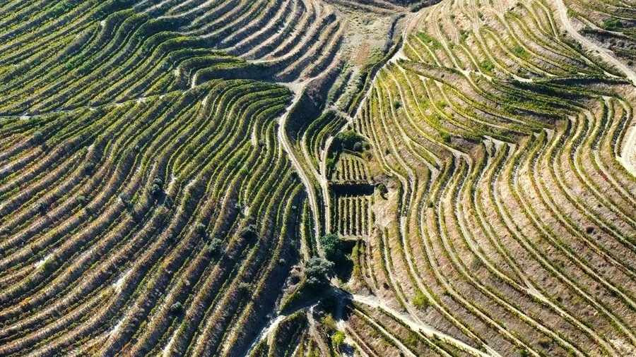 Quinta T0 para Venda em Vila Nova de Foz Côa
