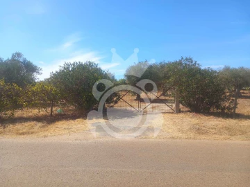 Terreno para Venda em Serpa (Salvador e Santa Maria)