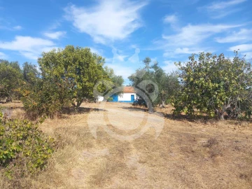 Terreno para Venda em Serpa (Salvador e Santa Maria)