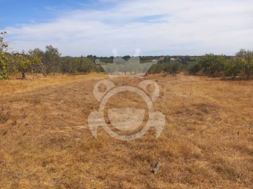 Terreno para Venda em Serpa (Salvador e Santa Maria)