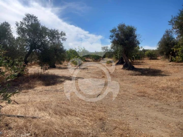 Terreno para Venda em Serpa (Salvador e Santa Maria)