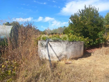 Terreno para Venda em Serpa (Salvador e Santa Maria)