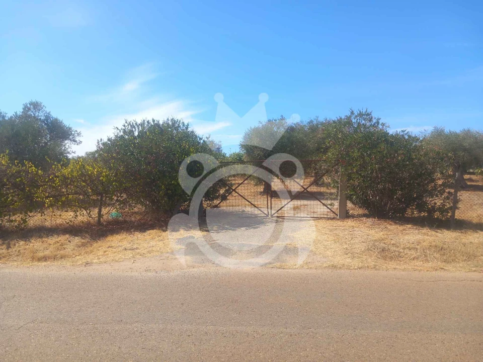Terreno para Venda em Serpa (Salvador e Santa Maria) Foto 4
