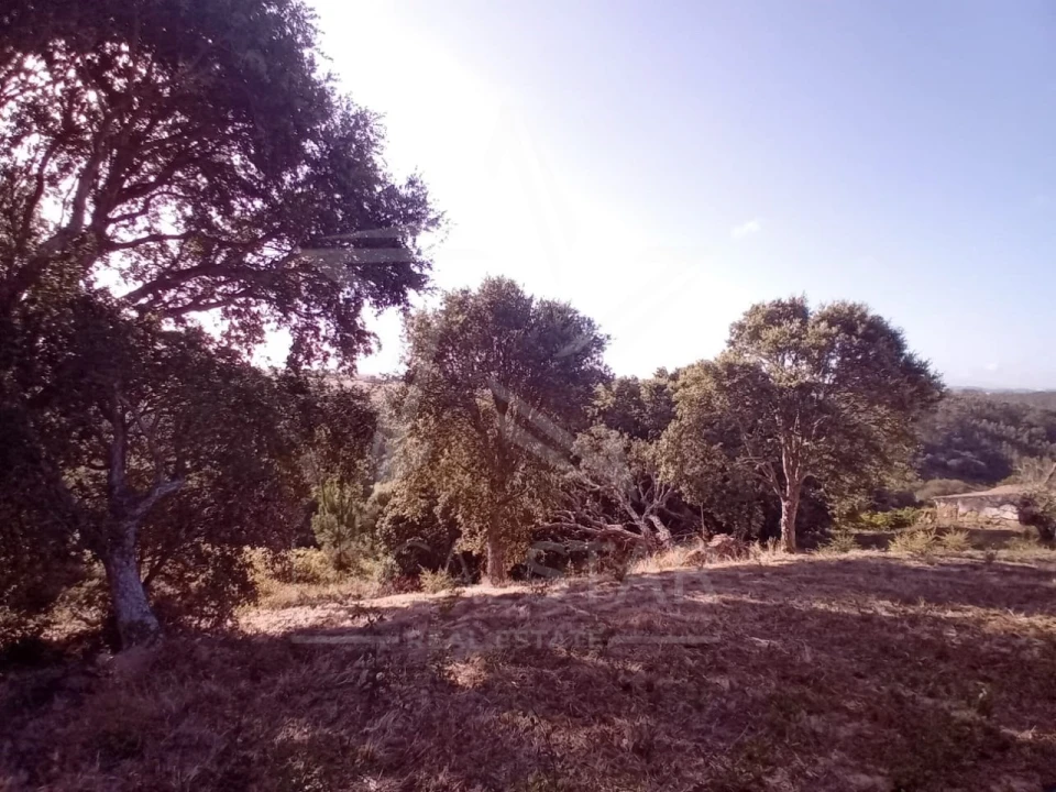 Terreno para Venda em Salir de Matos Foto 9