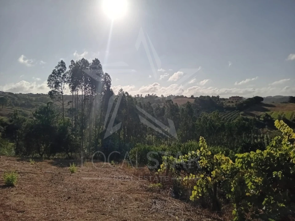 Terreno para Venda em Salir de Matos Foto 13