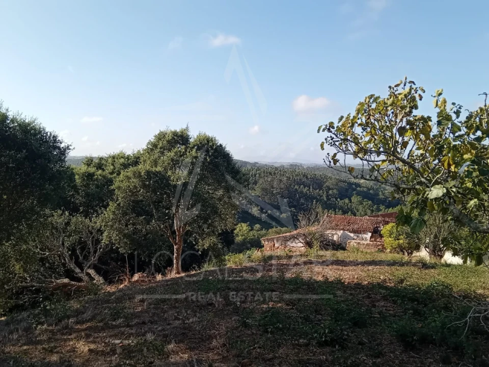 Terreno para Venda em Salir de Matos Foto 2