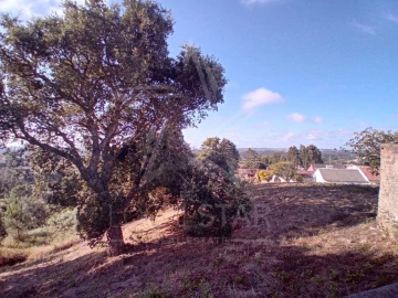 Terreno para Venda em Salir de Matos