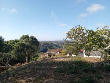Terreno para Venda em Salir de Matos