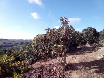 Terreno para Venda em Salir de Matos