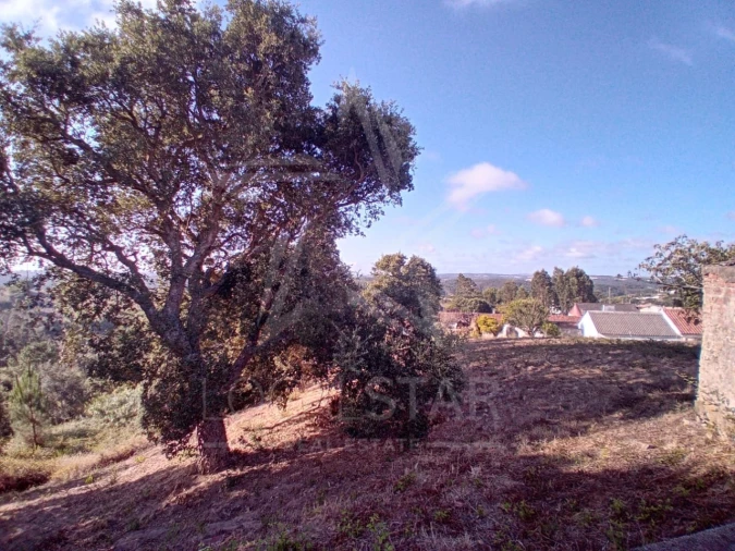 Terreno para Venda em Salir de Matos Foto 8