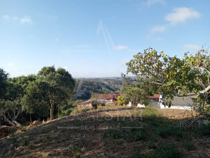 Terreno para Venda em Salir de Matos Foto 4