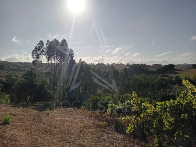 Terreno para Venda em Salir de Matos Foto 13