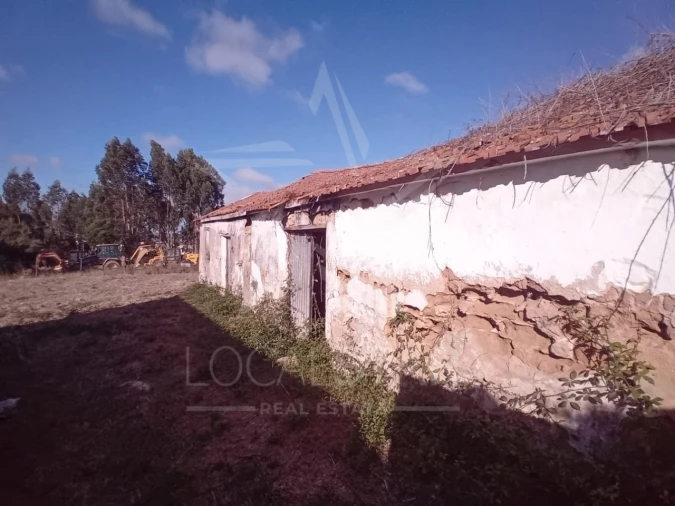 Terreno para Venda em Salir de Matos Foto 20