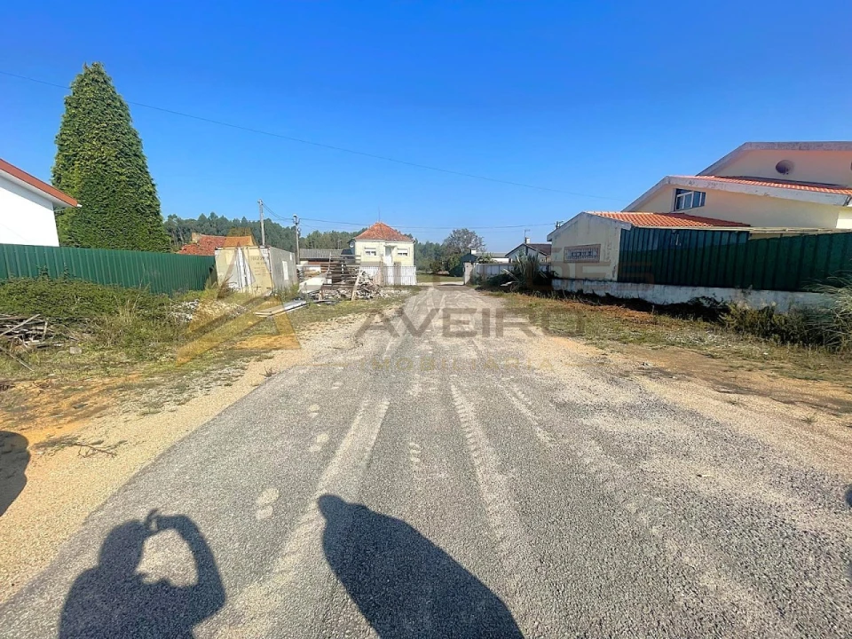Armazém para Arrendamento em Oiã Foto 2