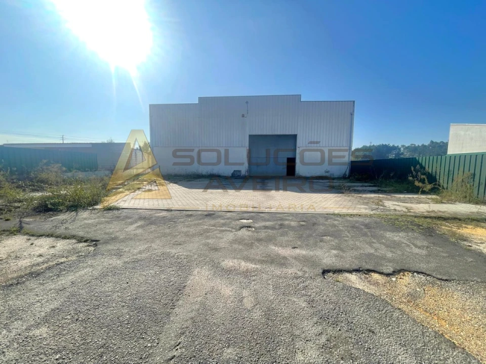 Armazém para Arrendamento em Oiã Foto 12