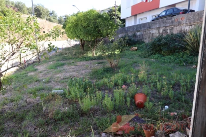 Moradia T3 para Venda em Pombal