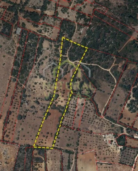 Terreno Agricola ou Rústico para Venda em São Brás de Alportel