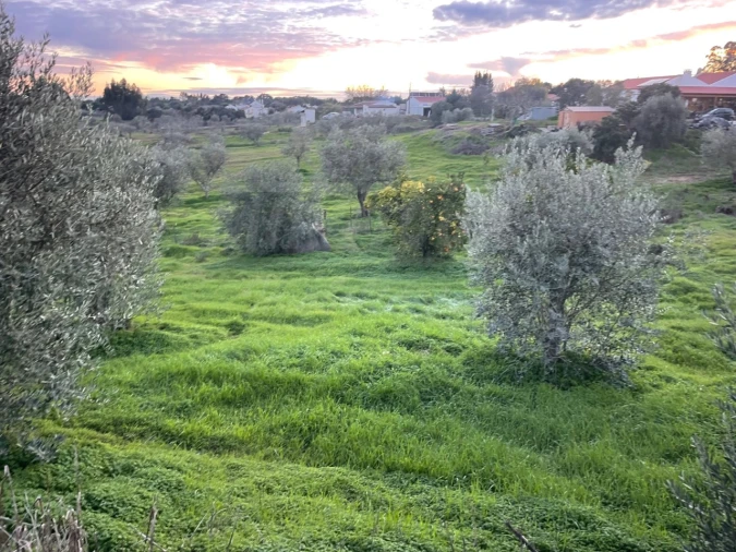 Quinta para Venda em São Domingos e Vale de Água Foto 19