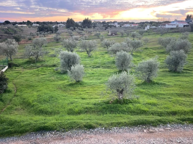 Quinta para Venda em São Domingos e Vale de Água Foto 20