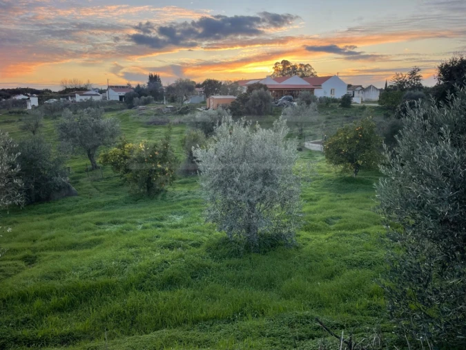 Quinta para Venda em São Domingos e Vale de Água Foto 21