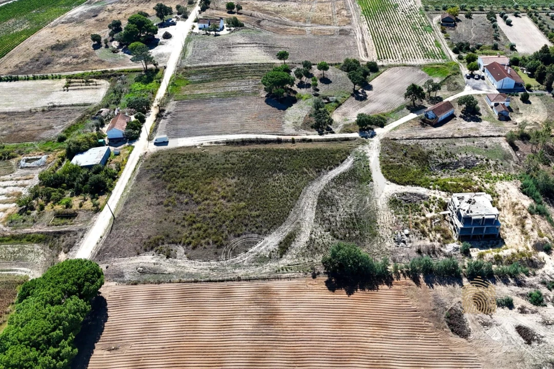 Terreno para Venda em Branca Foto 7