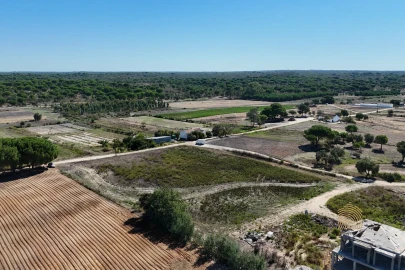 Terreno para Venda em Branca