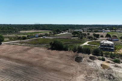 Terreno para Venda em Branca