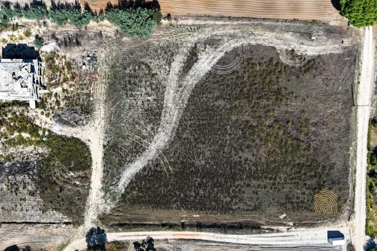 Terreno para Venda em Branca Foto 4