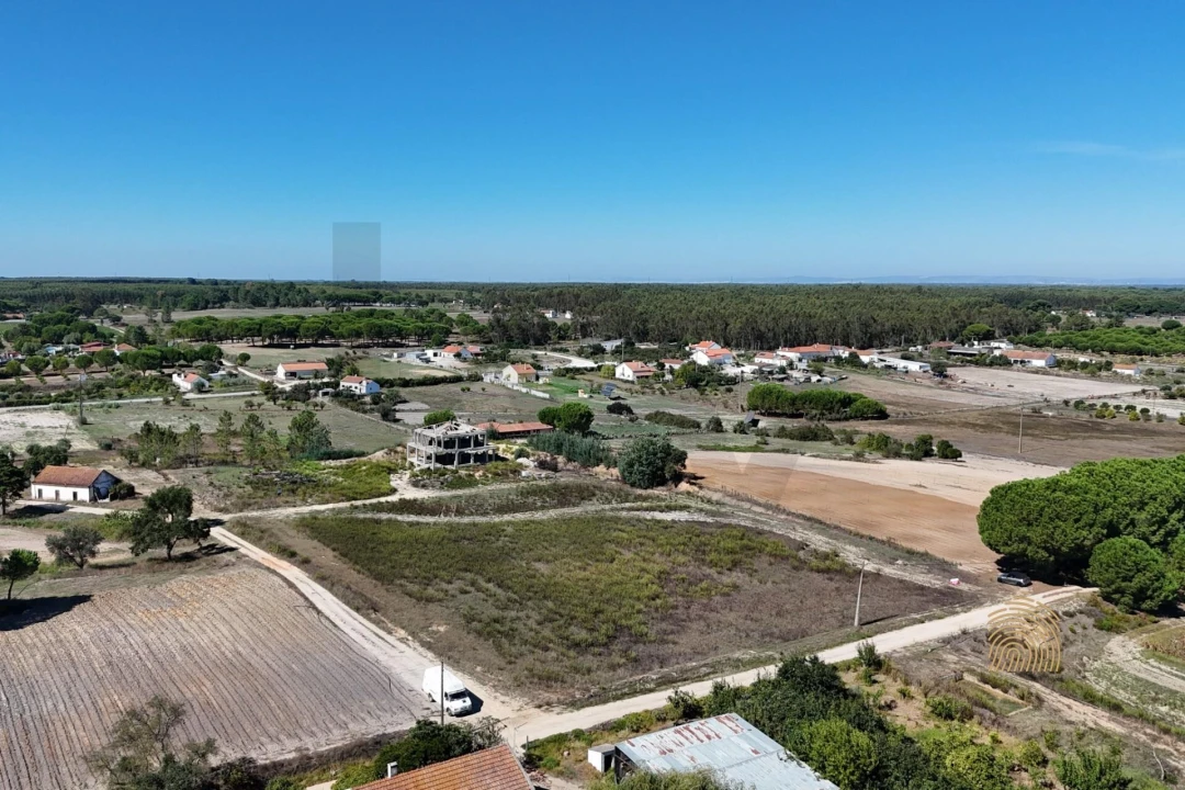Terreno para Venda em Branca Foto 14