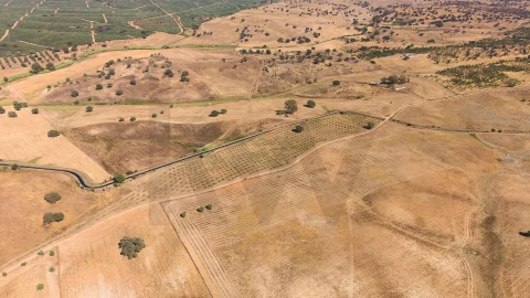Quinta T4 para Venda em Alvalade