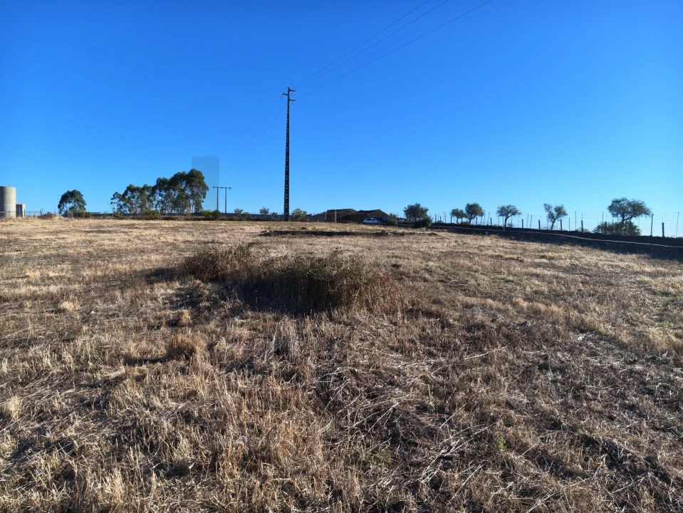 Terreno para Venda em Benquerenças Foto 8