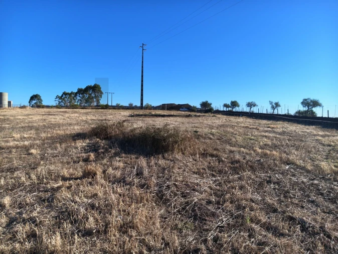 Terreno para Venda em Benquerenças Foto 8