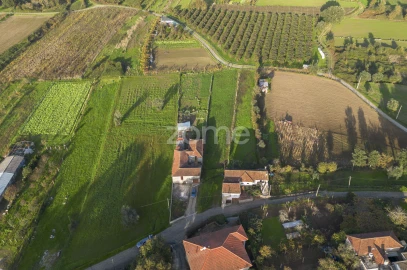 Terreno para Venda em Sobreira