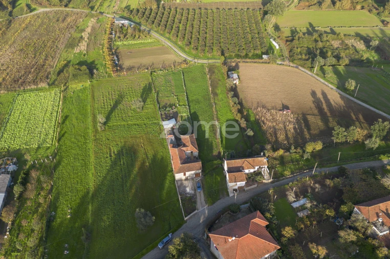 Terreno para Venda em Sobreira Foto 5