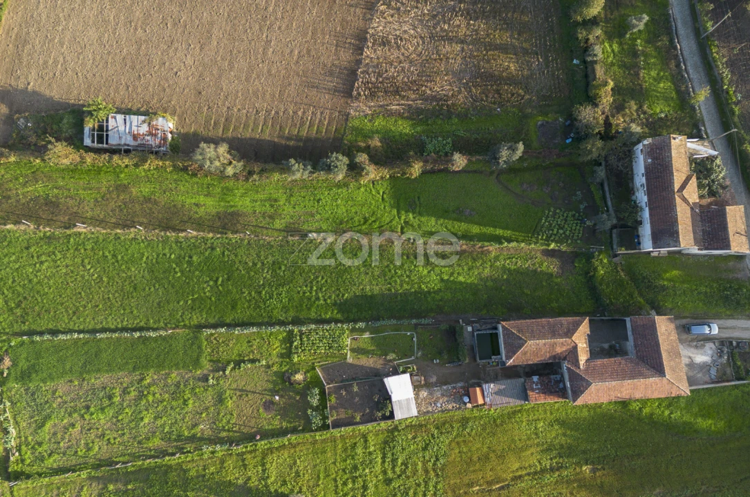 Terreno para Venda em Sobreira Foto 3